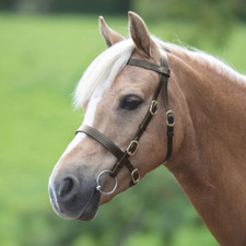 Shires velociti gara - shires, plain