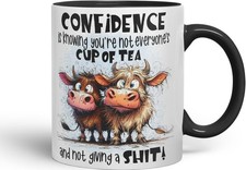 Vixar Confidence Funny