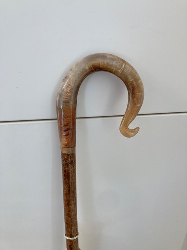 Herdwick rams horn crook - , on
