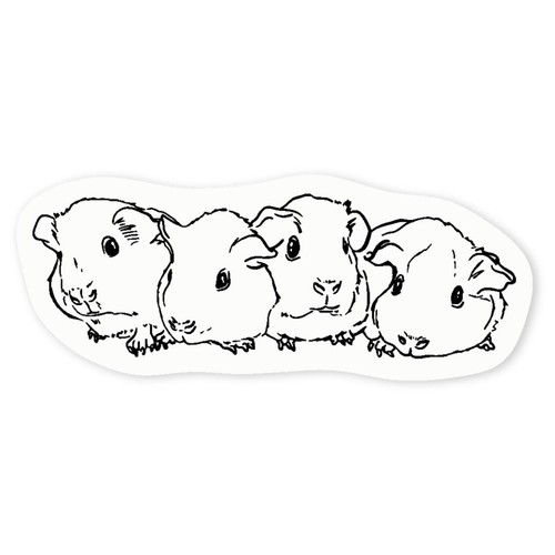 Baby guinea pigs - 'baby,
