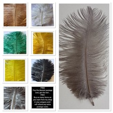 Ostrich Feathers x2 Plume Herl