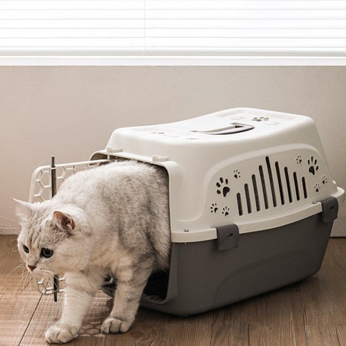 Portable pet dog puppy - dog, cat