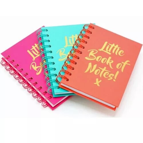 Little book notes - little, a6
