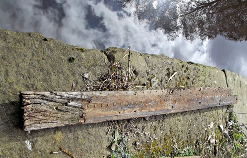 Characterful rustic gnarled - characterful,