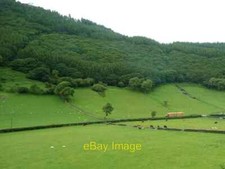 Photo 6x4 Cattle and sheep alongside the B4405 Abergynolwyn A hay lorry h c2016