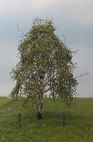 Silhouette 211 weeping - 211-41,