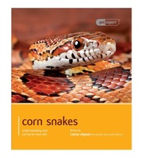 Corn snake pet expert - corn,