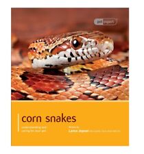 Corn Snake - Pet Expert
