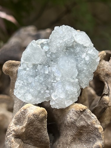 Apophyllite sparkly gemmy - apophyllite,