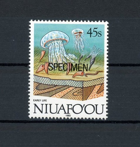 Niuafoou specimen fauna - specimen,