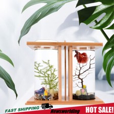 Glass Betta Fish Tank Bamboo