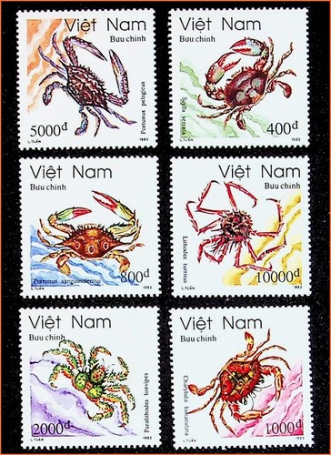 1993 vietnam salt water crabs - 1993,