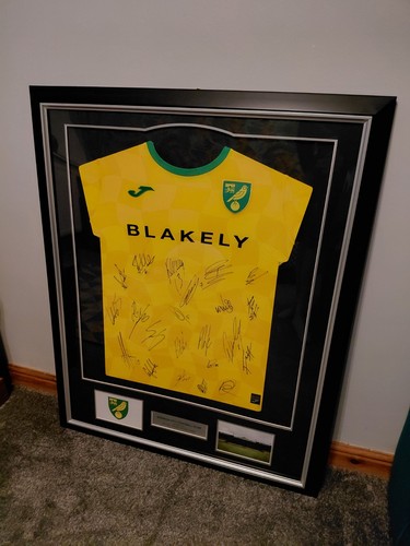 Norwich city signed football - norwich,