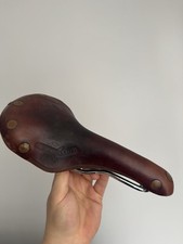 Stunning Brooks Chestnut