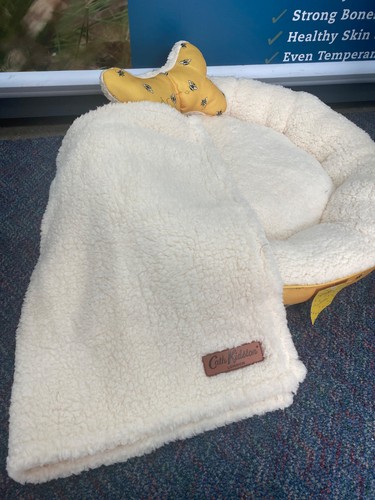 Small cath kidston pet bee - small,