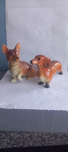 West german dog - 2,