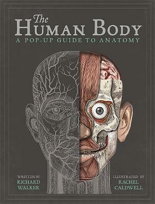 The human body pop up - the, pop-up