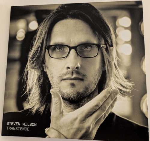 Steven wilson transience - steven,