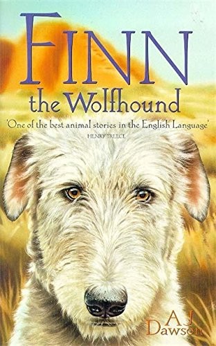 Finn the wolfhound dawson - finn,