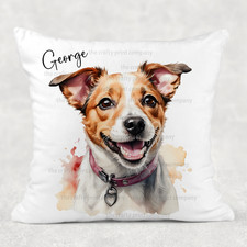 Jack russell terrier - jack,