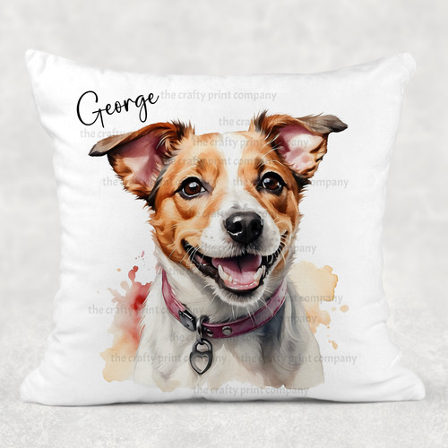 Jack russell terrier - jack,