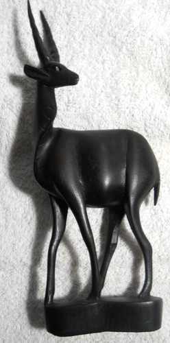 Gazelle tanzania hand - gazelle,