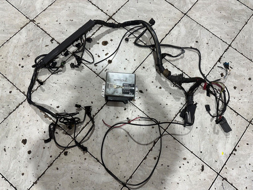 Engine wiring loom - and, ecu