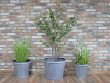 Set Of 3 Galvanised Metal Zinc