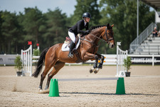 Equi-Jumps ( Sold as a Pair )