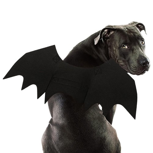 Halloween cute wings pet dog - wings,