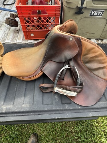 Frederic butet horse - frederic,
