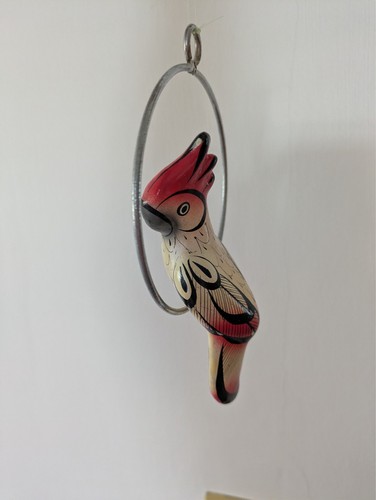 Beautiful parrot hanging bird - beautiful,