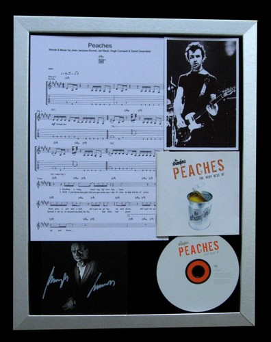 STRANGLERS+SIGNED+FRAMED+PEACH