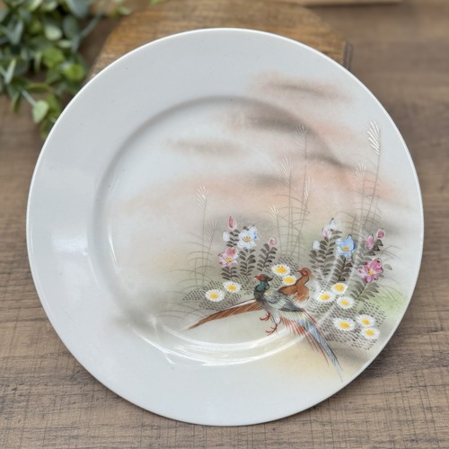 Set vintage pheasant - 4,