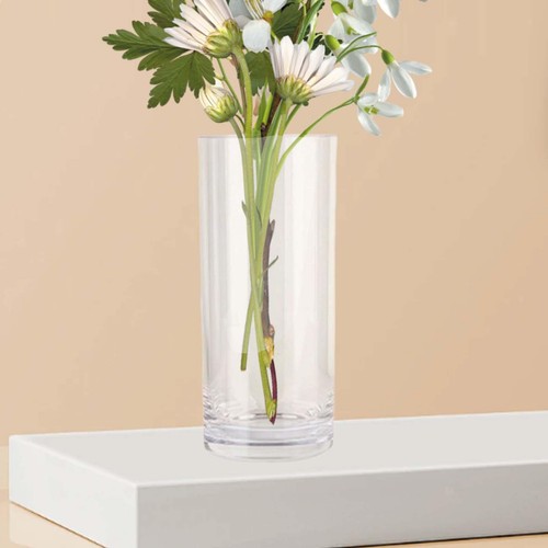 Acrylic cylinder vase plant - acrylic,