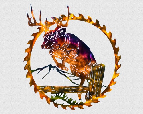 Whitetail buck jumping - whitetail,