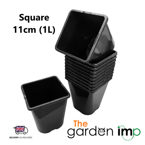 Litre square round - round, plant