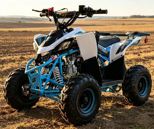 Off road 125cc atv quad - off-road,