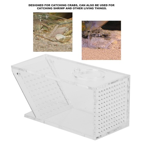 Transparent aquarium crab - transparent,