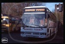 Original Coach Slide - Hawkes