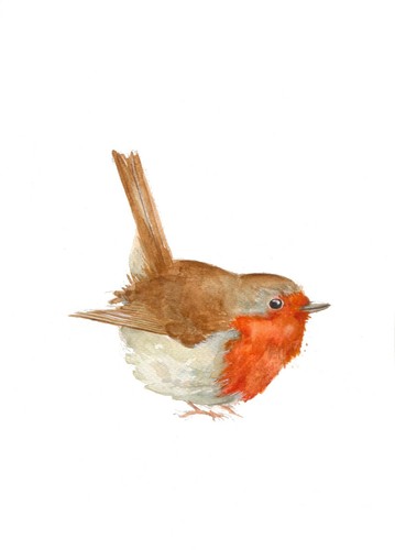 Robin original watercolour - robin, a4