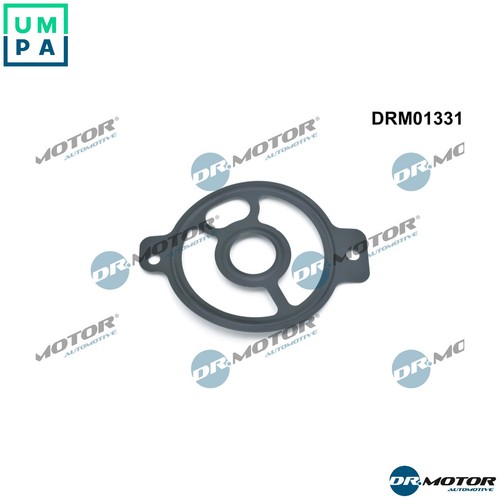 Gasket oil filter housing - oil,