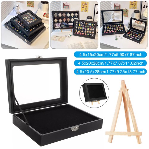 Pin display case orderly - display,
