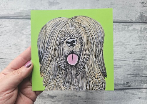 Briard greetings card - card,, funny