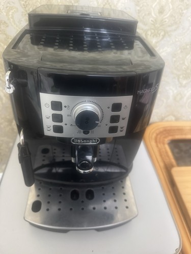 Longhi magnifica bean - magnifica,