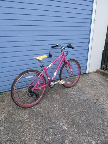 Gorgeous raleigh pop firks - raleigh,