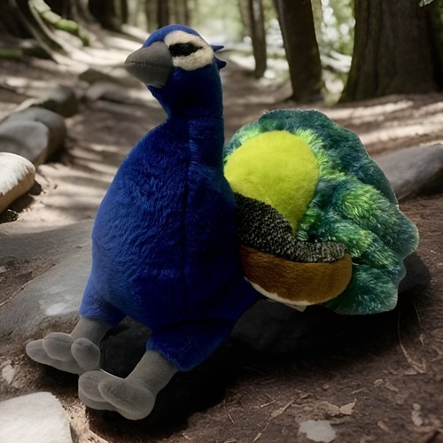 Wild republic peacock - peacock, 12"