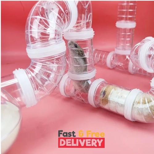 Diy hamster cage - hamster,
