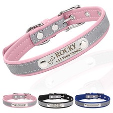 Personalised Dog Collar