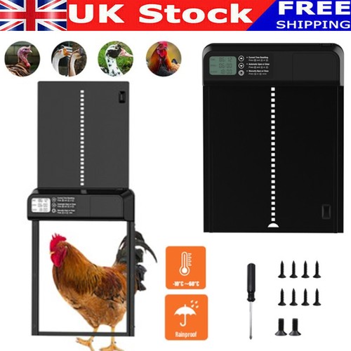 Automatic chicken coop door - chicken,
